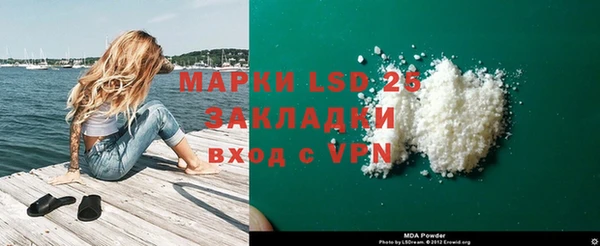 ПСИЛОЦИБИНОВЫЕ ГРИБЫ Инсар