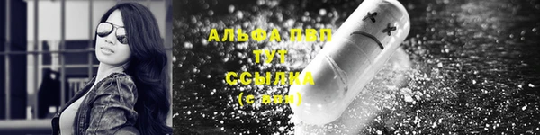 ПСИЛОЦИБИНОВЫЕ ГРИБЫ Инсар