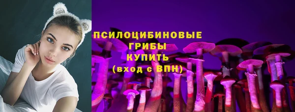 ПСИЛОЦИБИНОВЫЕ ГРИБЫ Инсар