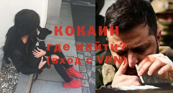 ПСИЛОЦИБИНОВЫЕ ГРИБЫ Инсар