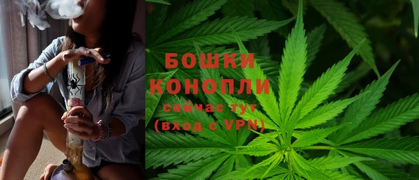 ПСИЛОЦИБИНОВЫЕ ГРИБЫ Инсар