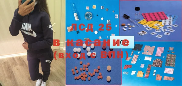 ПСИЛОЦИБИНОВЫЕ ГРИБЫ Инсар